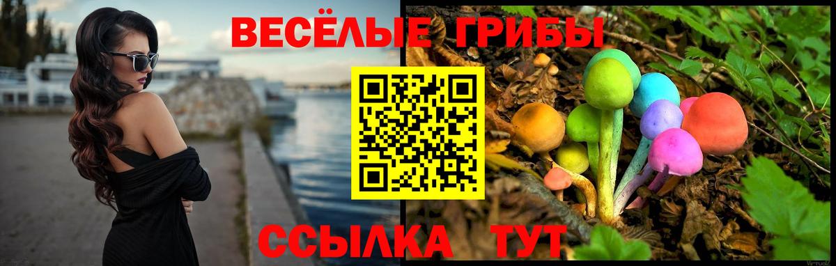 Галлюциногенные грибы мухоморы Карталы