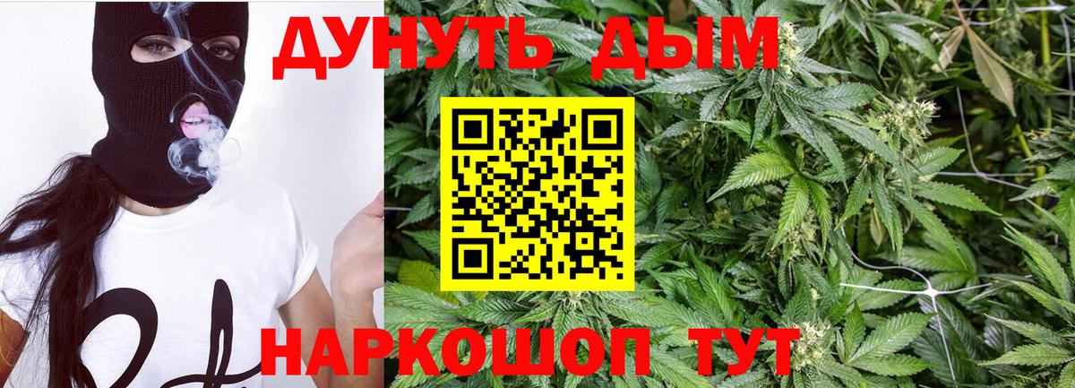 Каннабис SATIVA & INDICA Карталы